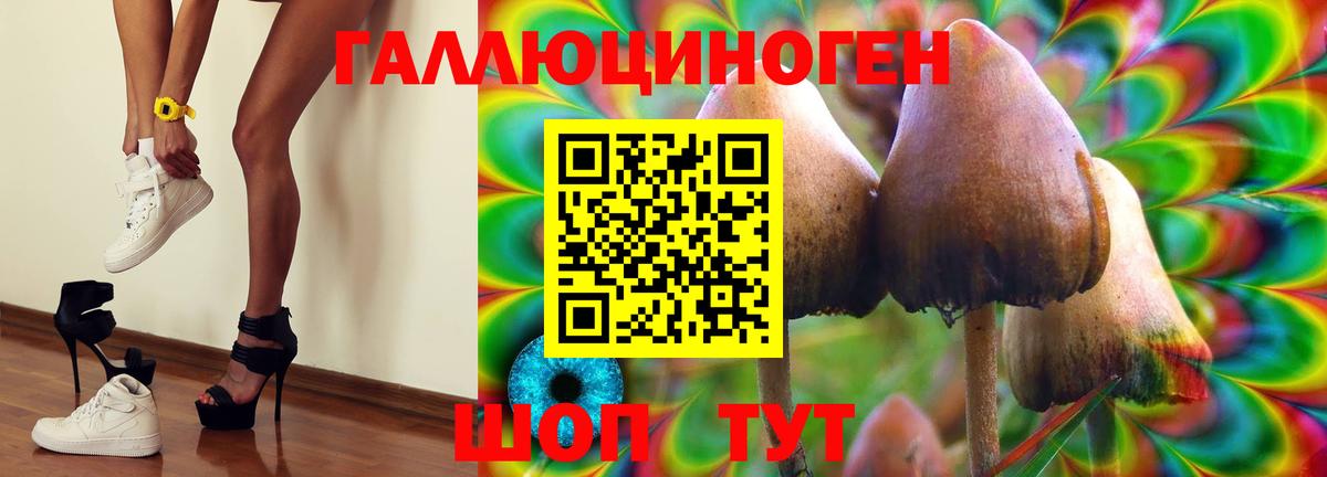 Галлюциногенные грибы прущие грибы  Псилоцибиновые грибы GOLDEN TEACHER  где продают   Вход с VPN  Гусиноозёрск 