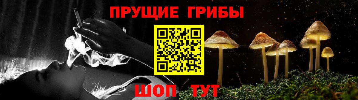 Галлюциногенные грибы Psilocybine cubensis Гусиноозёрск
